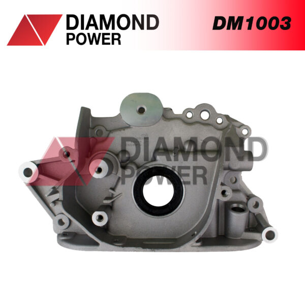 DM1003
