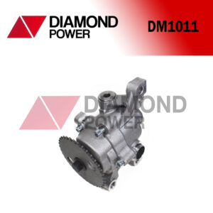DM1011