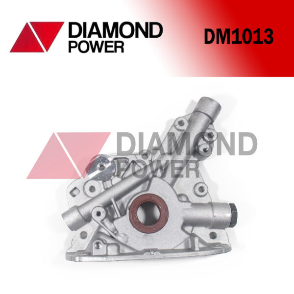 DM1013