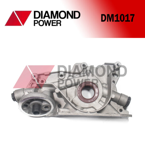 DM1017
