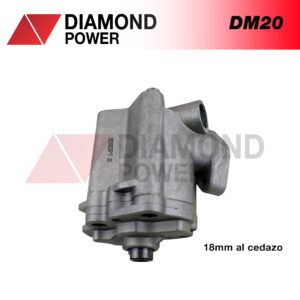 DM20