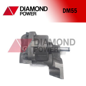 DM55