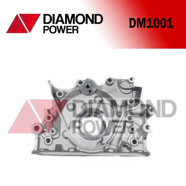 DM1001