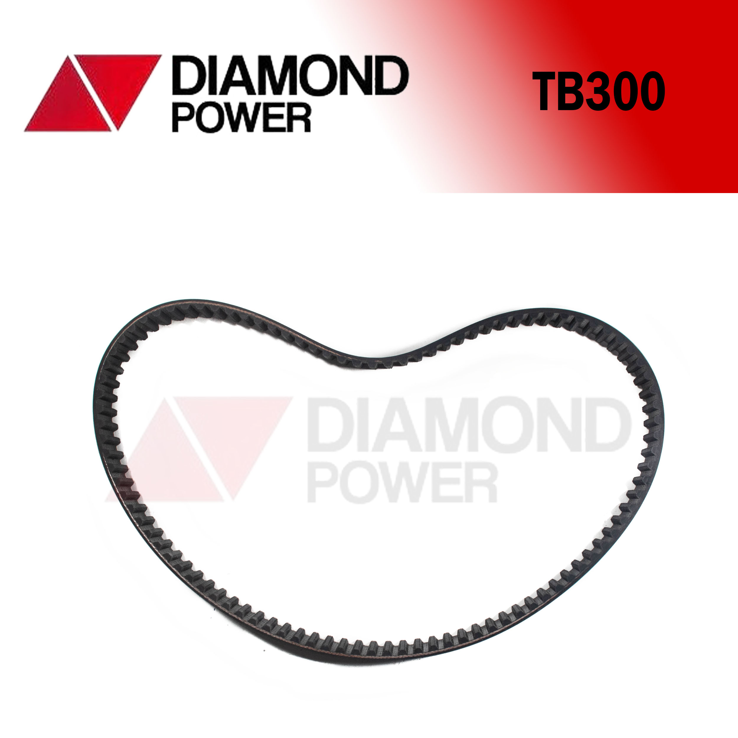 TB300 – Catálogo Diamond power