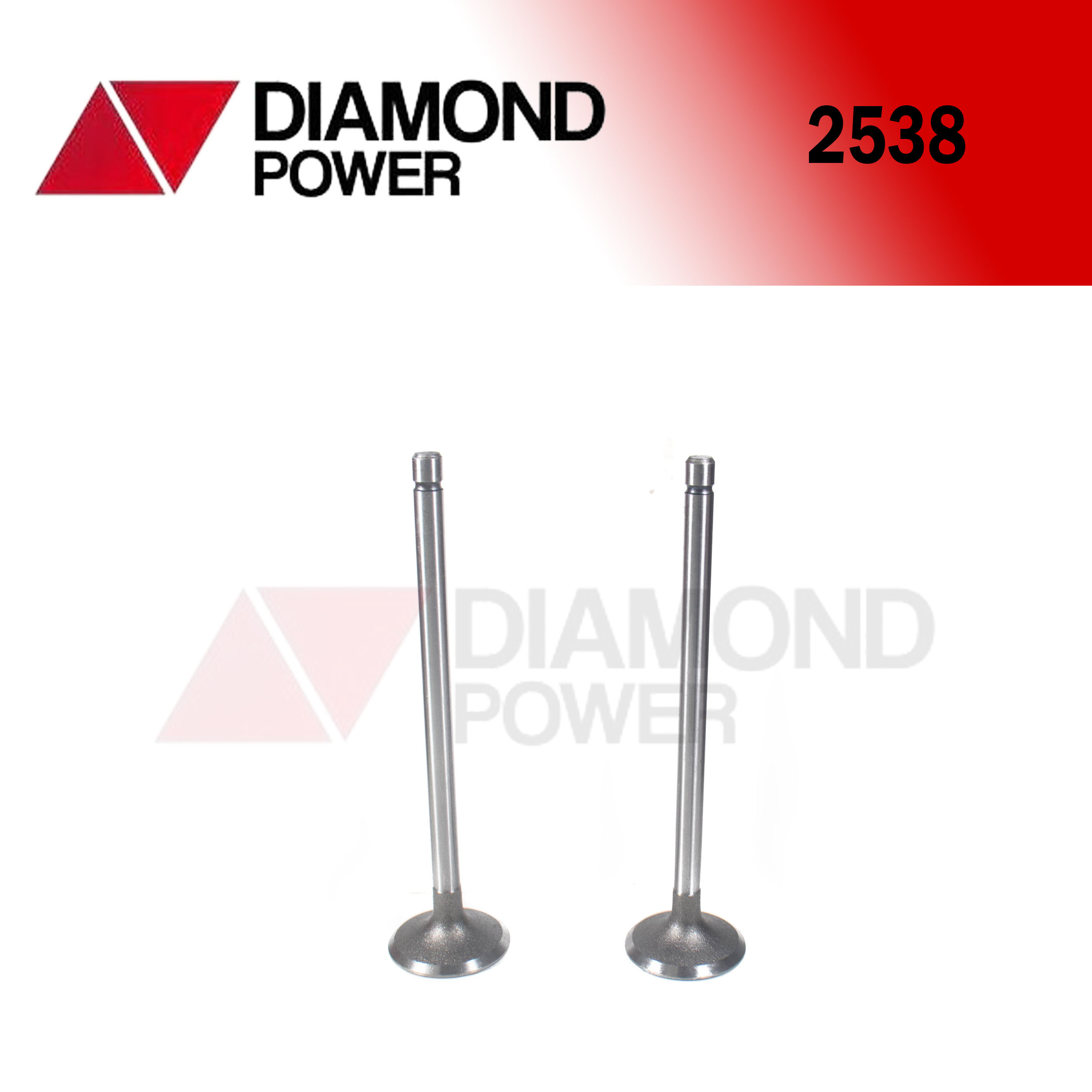 2538 – Catálogo Diamond power