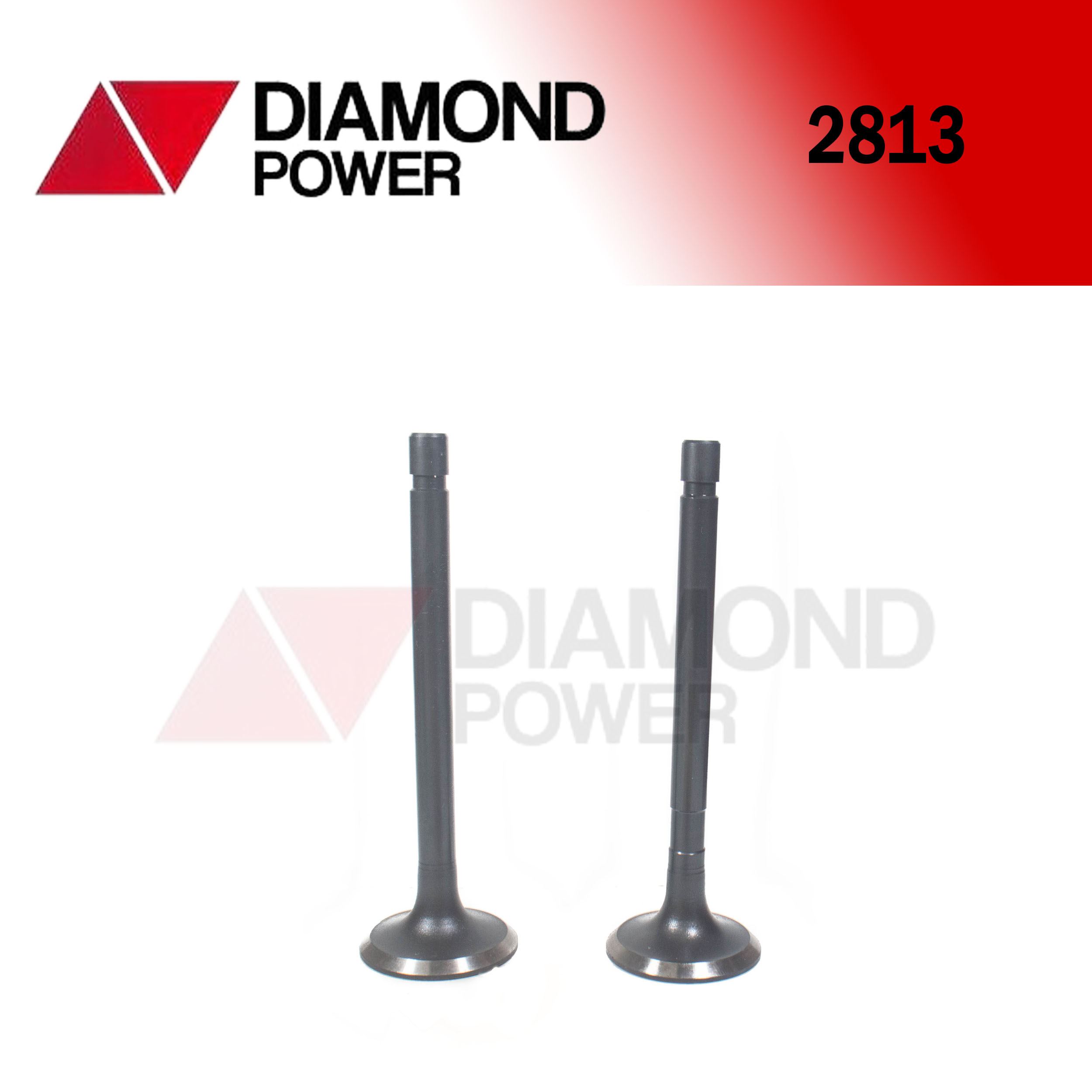 2813 – Catálogo Diamond power