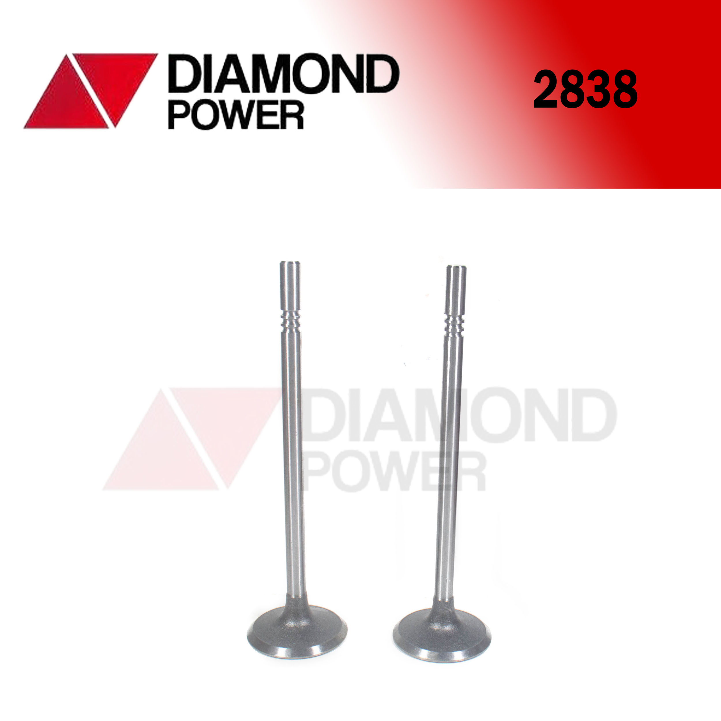 2838 – Catálogo Diamond power