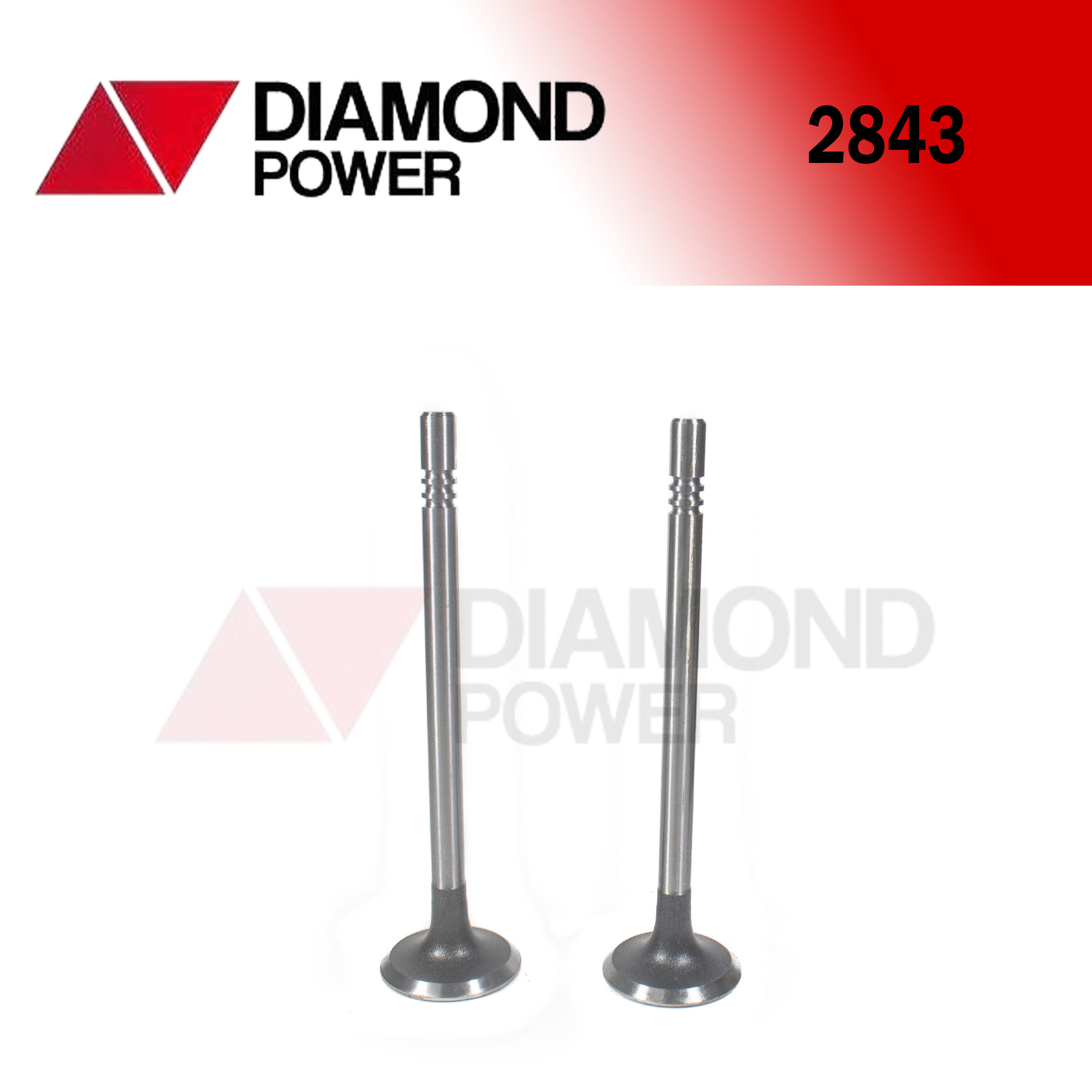2843 – Catálogo Diamond power