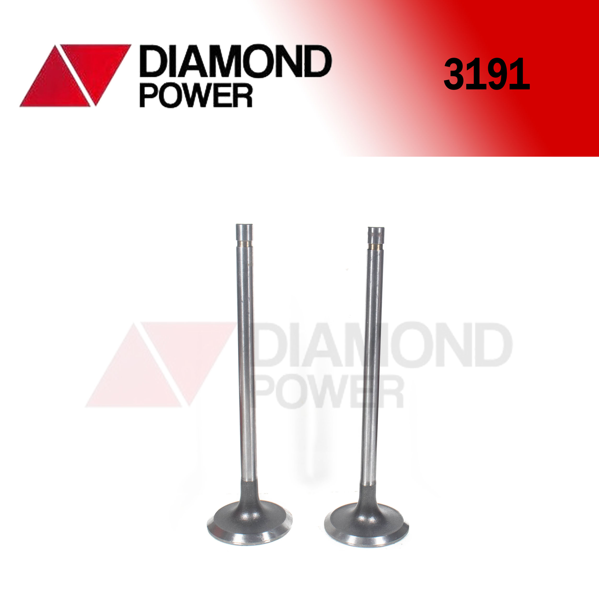 3191 – Catálogo Diamond power