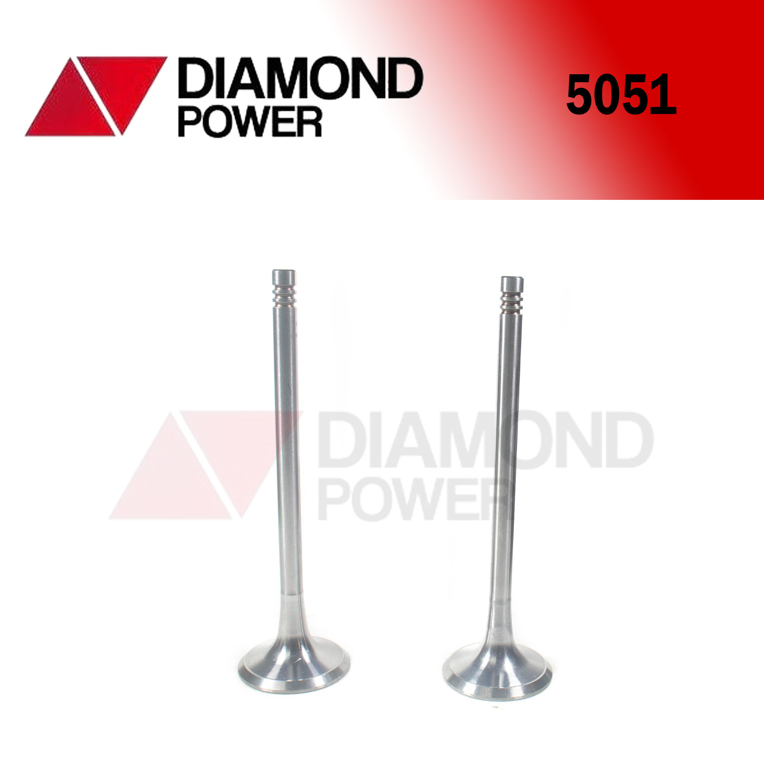 5051 – Catálogo Diamond power