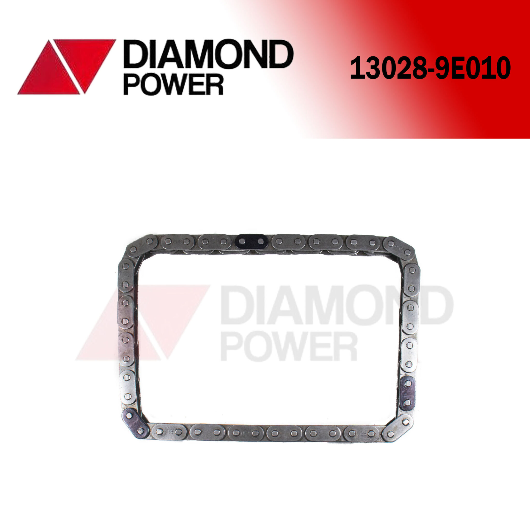 13028-9E010 – Catálogo Diamond power