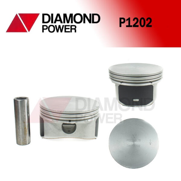 P1202