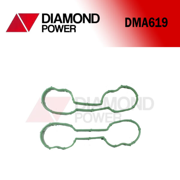 DMA619