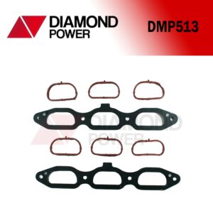 DMP513