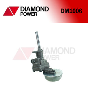 DM1006