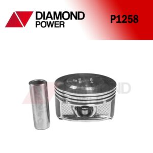 P1258(6)