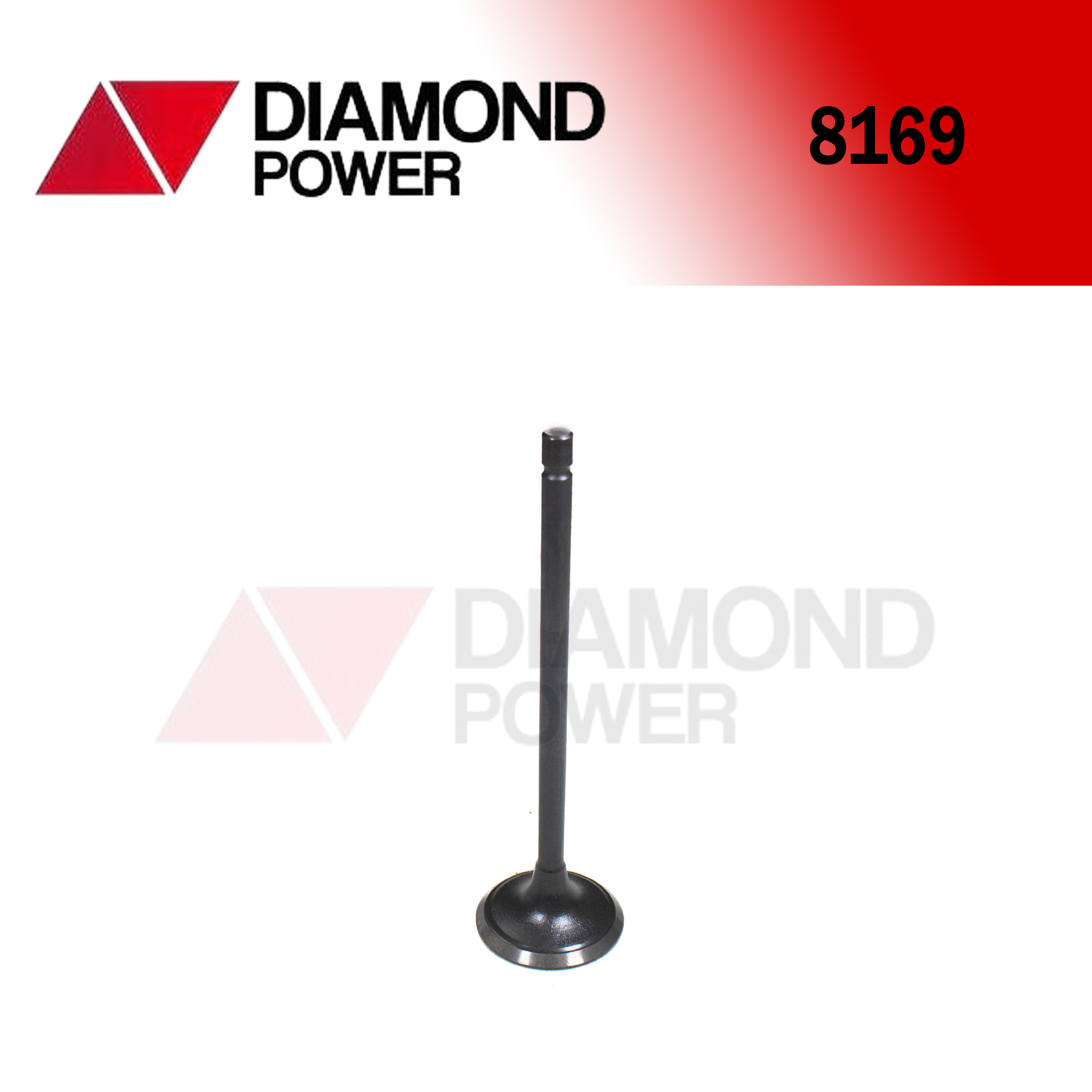 8169 – Catálogo Diamond power