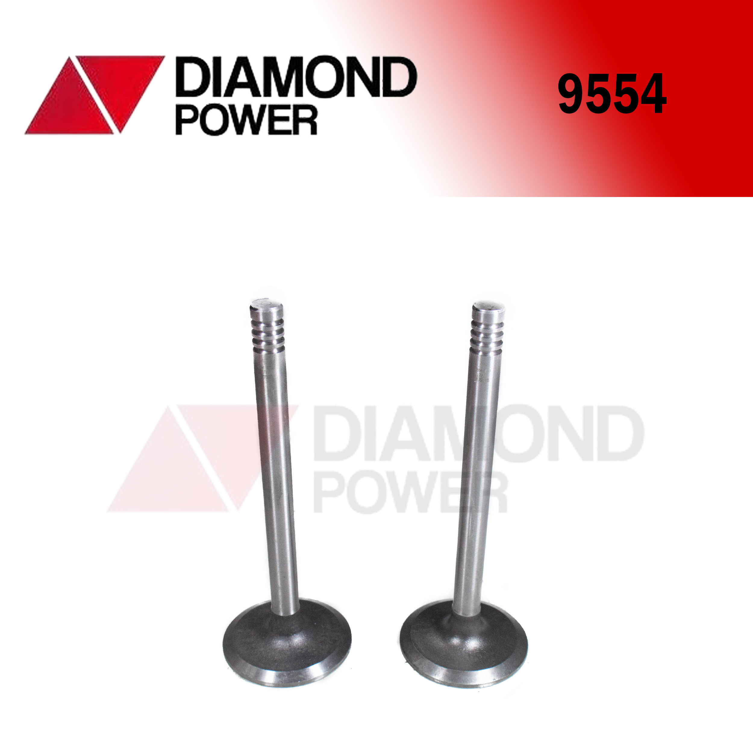 9554 – Catálogo Diamond power