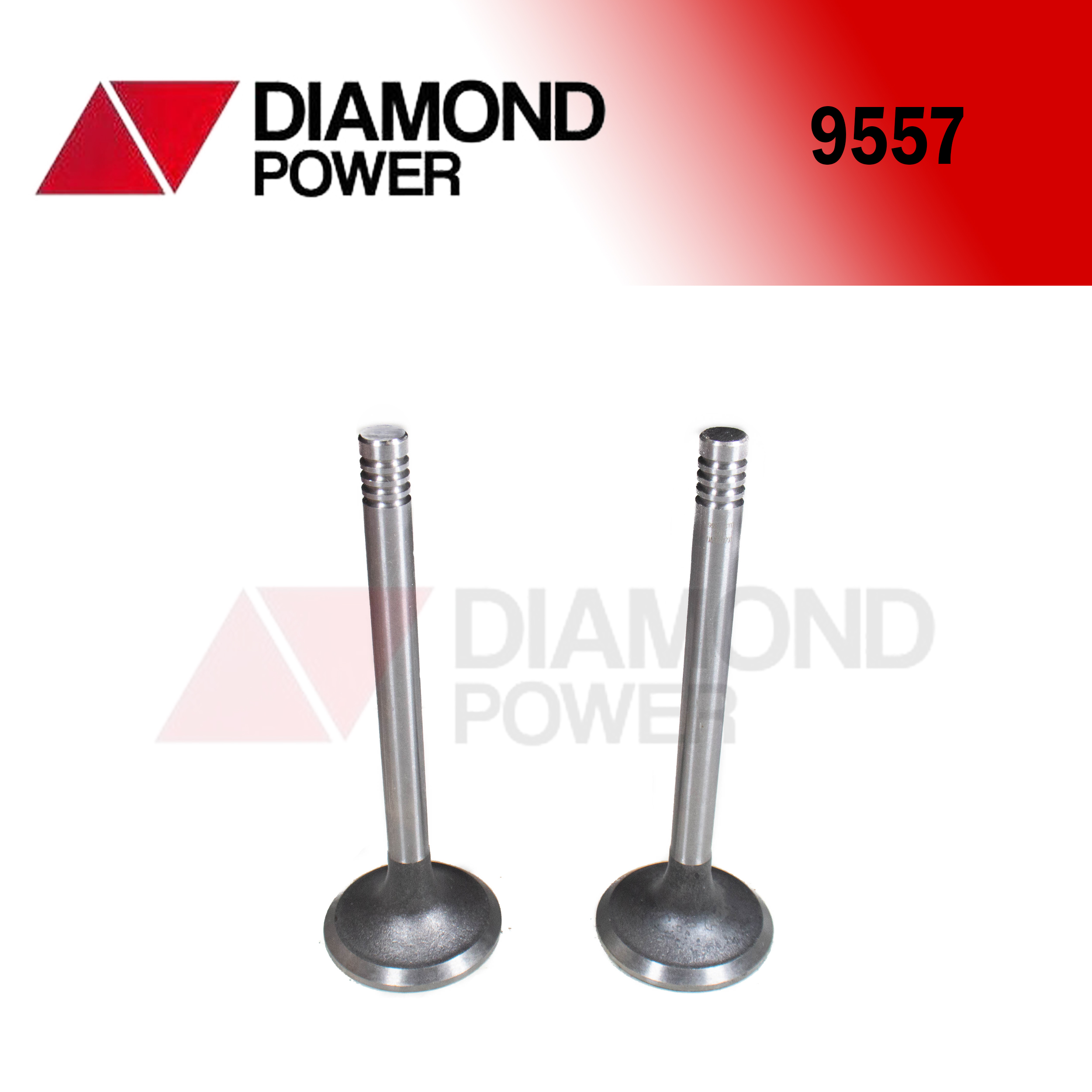 9557 – Catálogo Diamond power