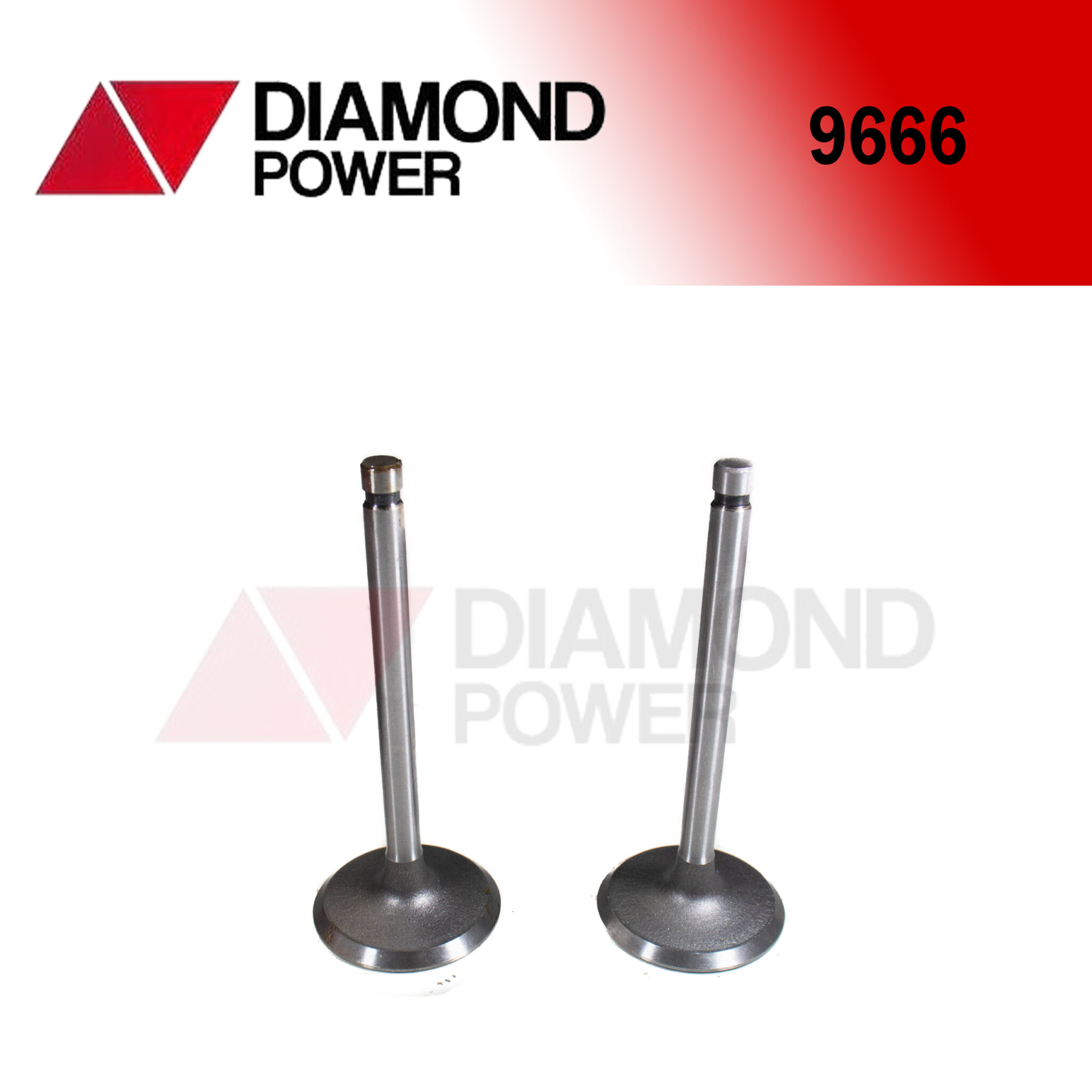 9666x 9666 – Catálogo Diamond power