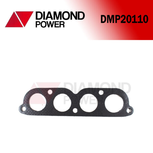 DMP20110